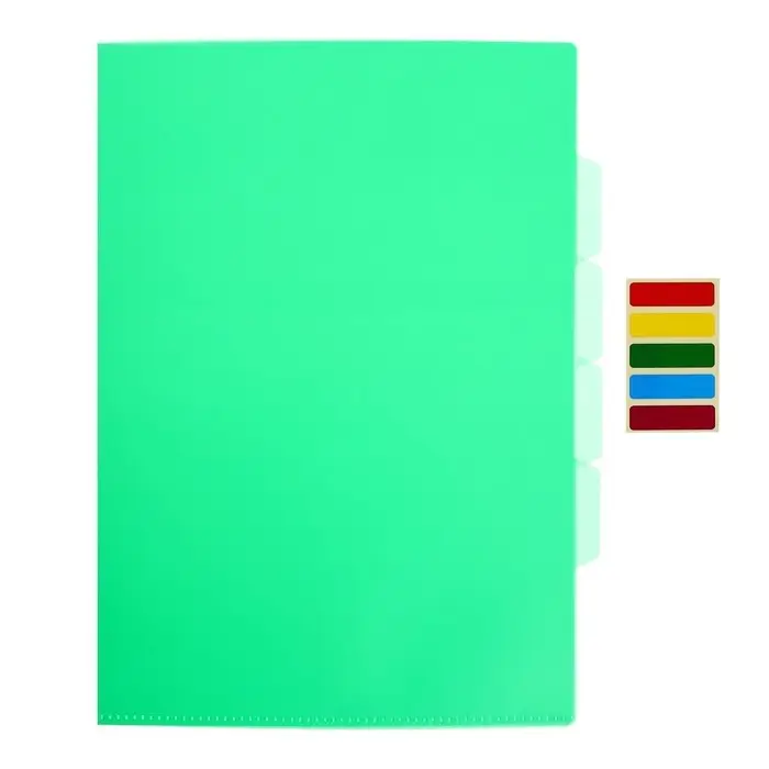 Папка-уголок, А4, 150 мкм, Calligrata, 3 отделения, прозрачная, зелёная Папка-уголок, А4, 150 мкм, Calligrata, 3 отделения, прозрачная, зелёная