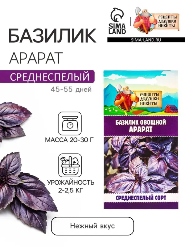 Семена Базилик овощной &laquo;Арарат&raquo;, 0.2 г, &laquo;Рецепты дедушки Никиты&raquo;