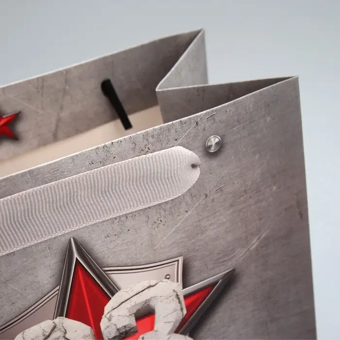 Пакет подарочный ламинированный, упаковка, &laquo;С 23 февраля&raquo;, ML 23&times;27&times;11.5 см