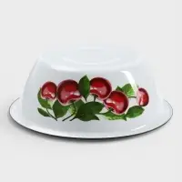Миска эмалированная &laquo;Вишнёвый сад&raquo;, 2 л, d=23 см, с деколью, белая