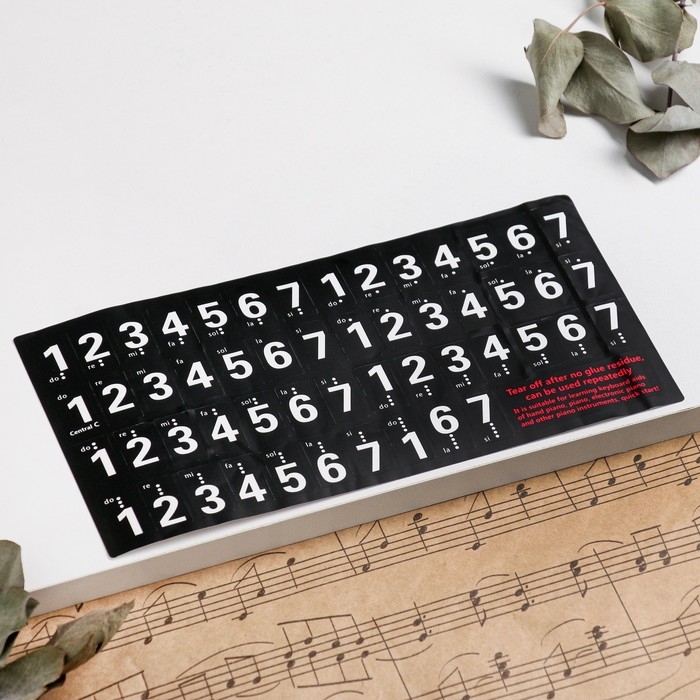 Наклейки на клавиши пианино 4 х 0,8 см, цветные, 88 клавиш, прозрачные Наклейки на клавиши пианино 4 х 0,8 см, цветные, 88 клавиш, прозрачные