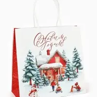 Набор пакетов крафтовых «Новогодний», 10 шт, 22 × 22 × 11 см Набор пакетов крафтовых «Новогодний», 10 шт, 22 × 22 × 11 см