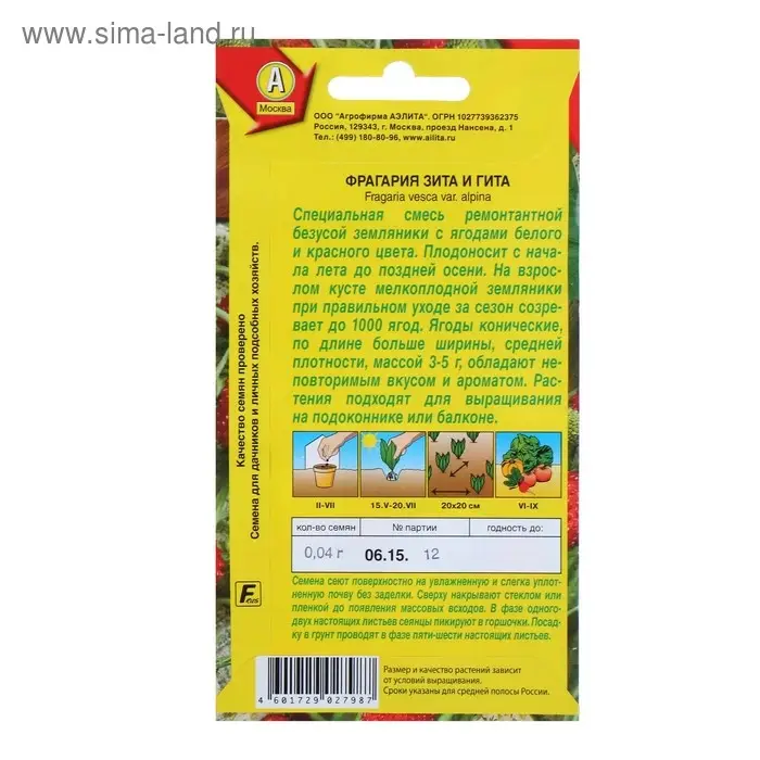 Семена Земляника "Зита и Гита", смесь, 0,04 г Семена Земляника "Зита и Гита", смесь, 0,04 г