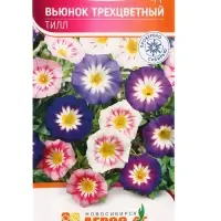 Семена Вьюнок трехцветный &laquo;Тилл&raquo;, 0.5 г, &laquo;Агрос&raquo;