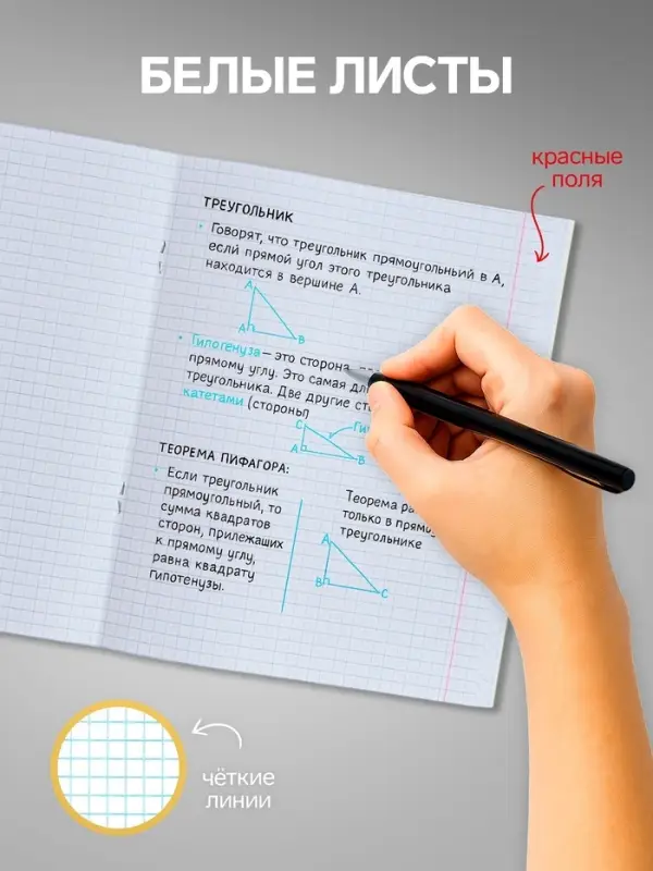 Тетради 24 листа в клетку Calligrata &laquo;Однотонная Классика с уголком&raquo;, обложка мелованный картон, блок офсет, 10 шт.