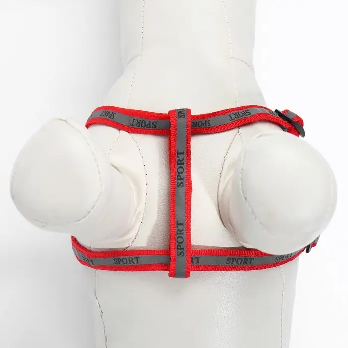 Шлейка с поводком &laquo;Спорт&raquo;, ОГ 23-35 с, ширина 1 см, поводок 120 см, светоотражающий, красная