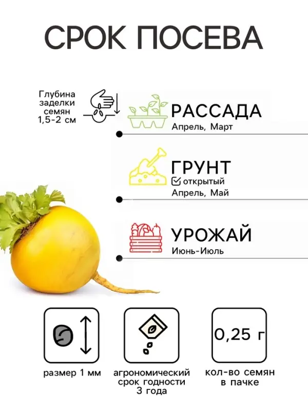 Семена Репа Сахарная королева (УД) Е/П , Е/П,  0,25 г.