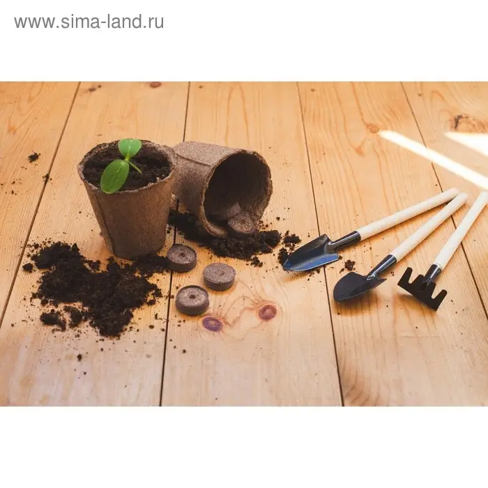 Горшок для рассады, 175 мл, d=8 см, h=8 см, торф, набор 20 шт., Greengo