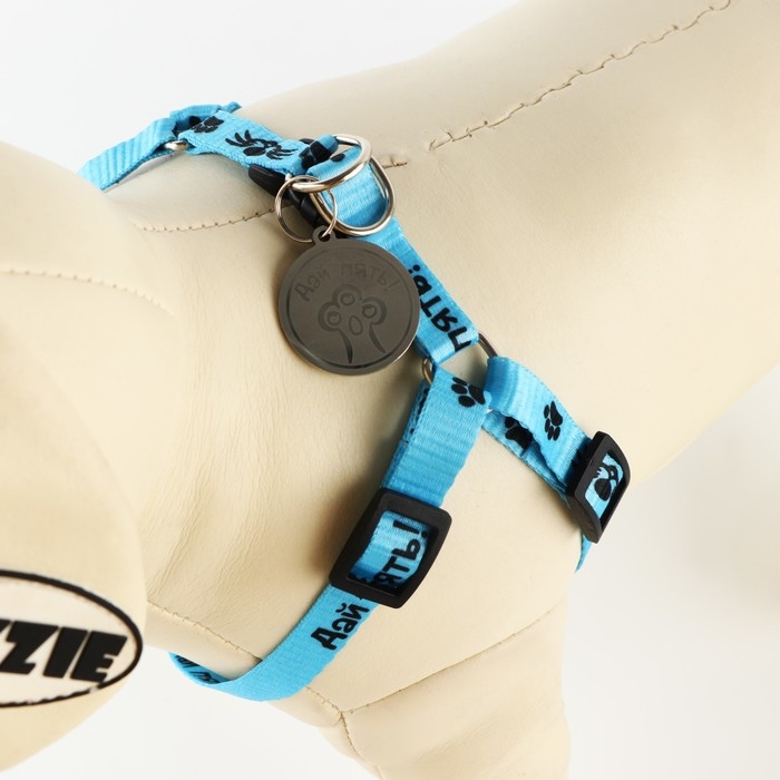 Комплект «Дай пять!», шлейка 26-39 см, поводок 120х1 см, медальон Комплект «Дай пять!», шлейка 26-39 см, поводок 120х1 см, медальон