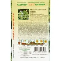 Семена цветов Морозник кавказский Спринг (лимонно-зеленый)* 0,1 г DHп