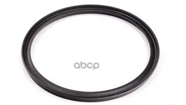Профильное Уплотнительное Кольцо BMW арт. 13718596850