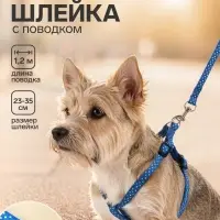 Комплект прошитый &laquo;Горошек&raquo;, ширина 1 см, поводок 120 см, шлейка 23-35 см, синий
