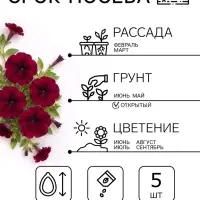Семена цветов Петуния &laquo;Изи Вейв Бургунди Велюр&raquo; F1, 5 шт.