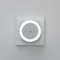 Ночник &laquo;Круг&raquo; LED реагирует на темноту, белый 6.5&times;6.5&times;5 см RISALUX
