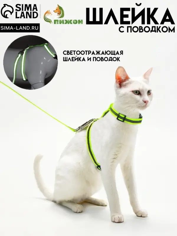 Комплект для кошек светоотражающий, ширина 1 см, шлейка 21-35 см, поводок 120 см, зелёный