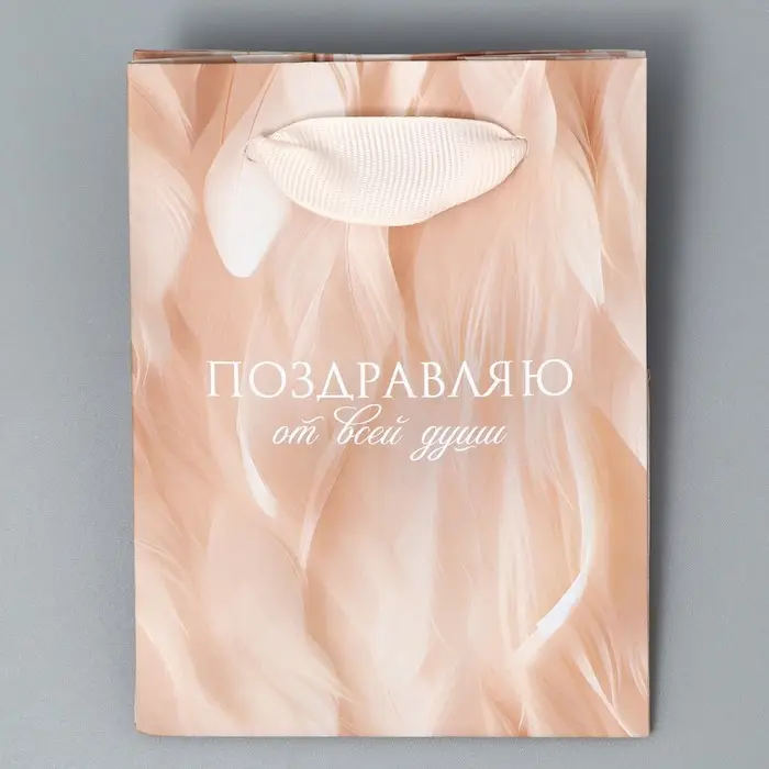 Пакет подарочный ламинированный, упаковка, «Поздравляю», 9 х 12 х 6.5 см