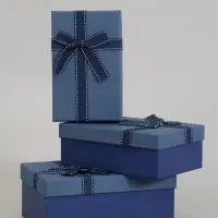 Набор подарочных коробок 3 в 1, прямоугольные 23&times;16&times;9.5 21&times;14&times;8.0 19&times;12&times;6.5 см