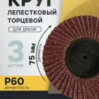 Круг лепестковый торцевой ТУНДРА, для дрели, М8, 75 мм, P60, 3 шт.