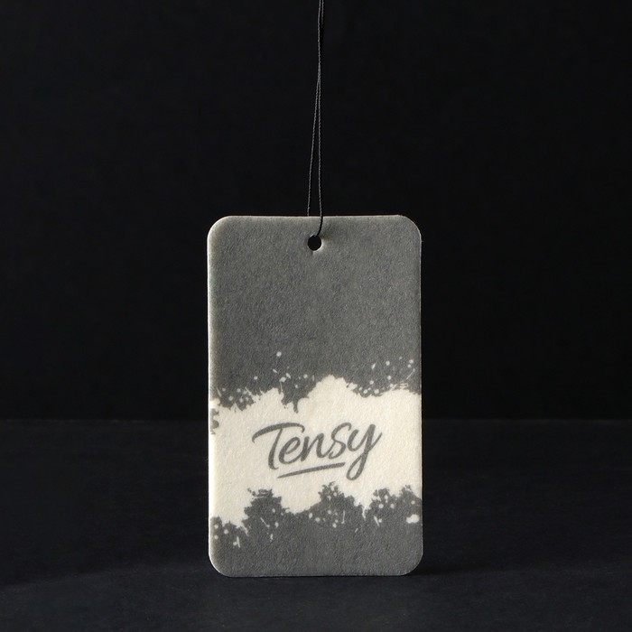 Ароматизатор подвесной Tensy картонный, Новая Машина TA-12 МИКС Ароматизатор подвесной Tensy картонный, Новая Машина TA-12 МИКС