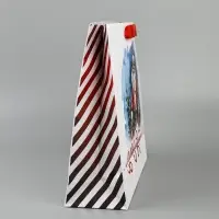 Пакет подарочный новогодний крафтовый, &laquo;Дед Мороз&raquo;, 30&times;26&times;9 см