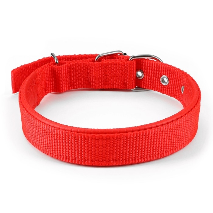 Ошейник Ошейник "Комфорт" комбинированный, 55 х 2,5 см, ОШ 40-50 см, красный