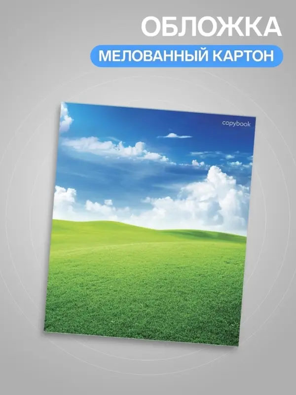 Тетрадь 96 листов в клетку Calligrata &laquo;Прекрасная пора&raquo;, МИКС