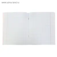 Тетрадь 48 листов в клетку Calligrata &laquo;Яркие цвета&raquo;, МИКС