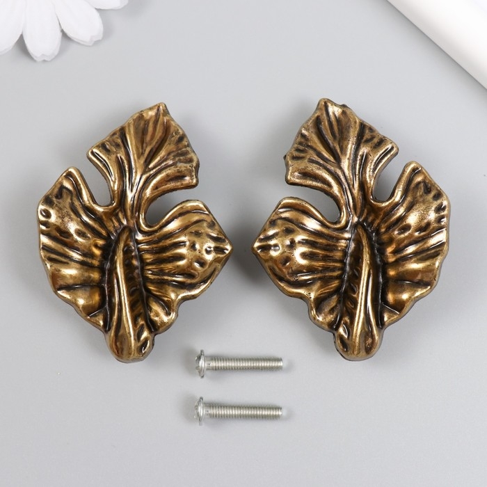 Ручка для шкатулки латунь Ручка для шкатулки латунь "Экзотические листья" набор 2 шт 5х7х2 см