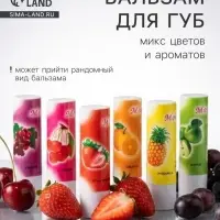 Бальзам для губ &laquo;Фрукты и ягоды&raquo;, микс цветов и ароматов