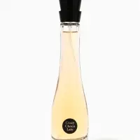 Туалетная вода женская What Women Want Crazy Chocolate, 50 мл