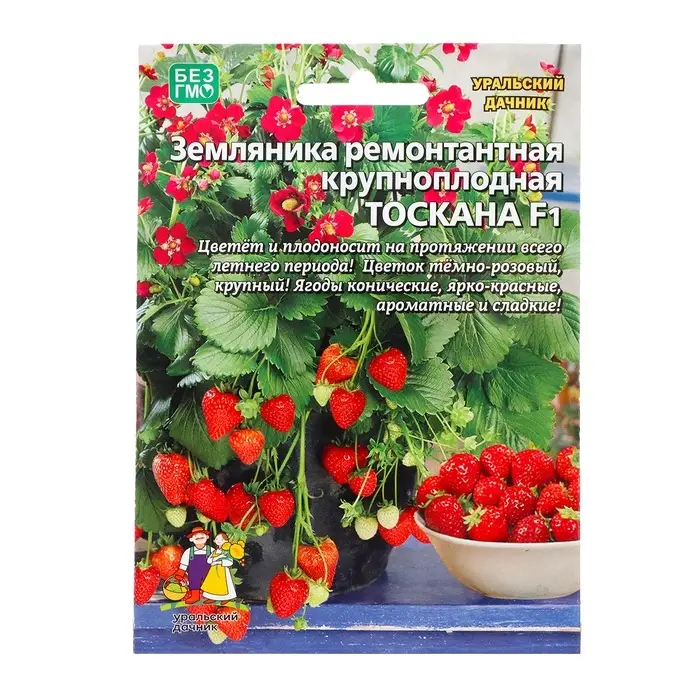 Семена Земляника &laquo;Тоскана&raquo;, F1, 5 шт., ремонтантная, крупноплодная, &laquo;Уральский дачник&raquo;