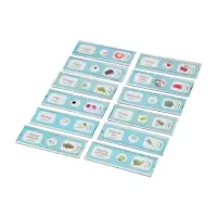 ЭВРИКИ Набор для опытов "Набор микропрепаратов", овощи и зелень ЭВРИКИ Набор для опытов "Набор микропрепаратов", овощи и зелень