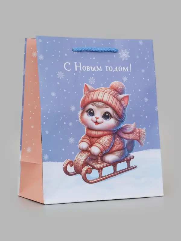 Пакет подарочный &laquo;С Новым годом! Котик на санках&raquo; 18&times;10&times;22.3 см