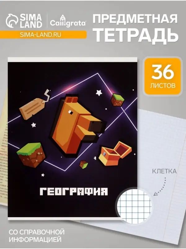 Предметная тетрадь по географии Calligrata &laquo;Пиксели&raquo;, 36 листов, в клетку, со справочным материалом, обложка из мелованного картона