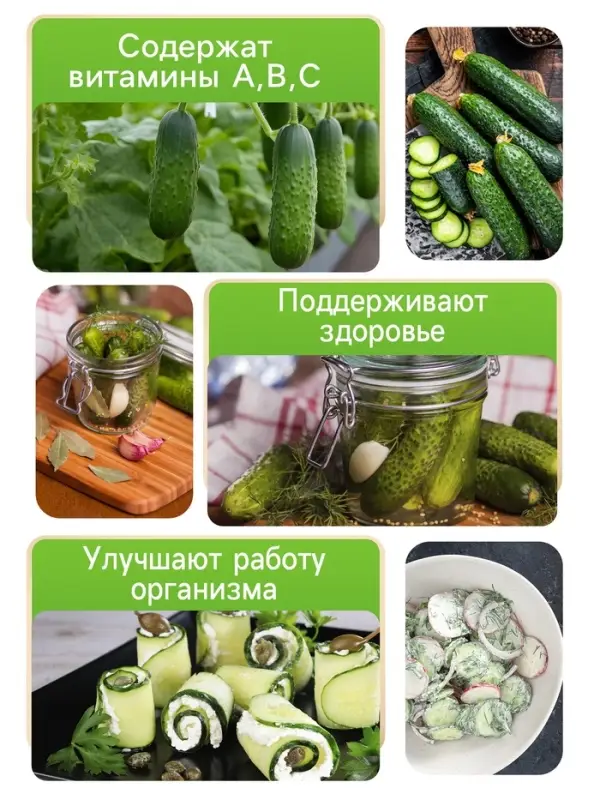 Семена Огурец &laquo;Изящный&raquo;, 0.3 г, &laquo;Рецепты дедушки Никиты&raquo;