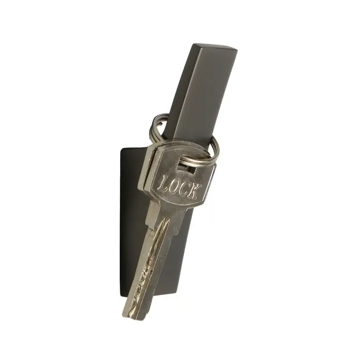 Крючок мебельный CAPPIO ASPHODEL, однорожковый, цвет графит