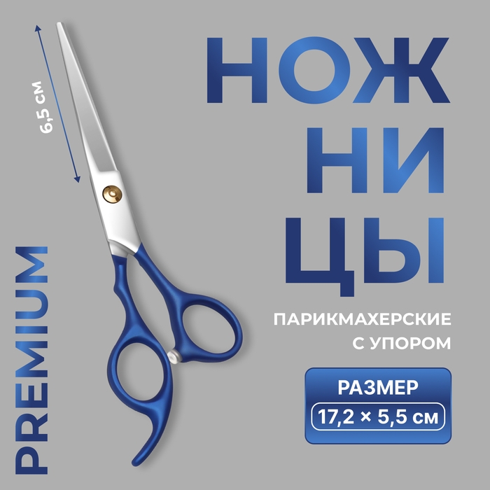 Ножницы парикмахерские с упором «Premium», лезвие — 6,5 см, цвет серебристый/синий Ножницы парикмахерские с упором «Premium», лезвие — 6,5 см, цвет серебристый/синий