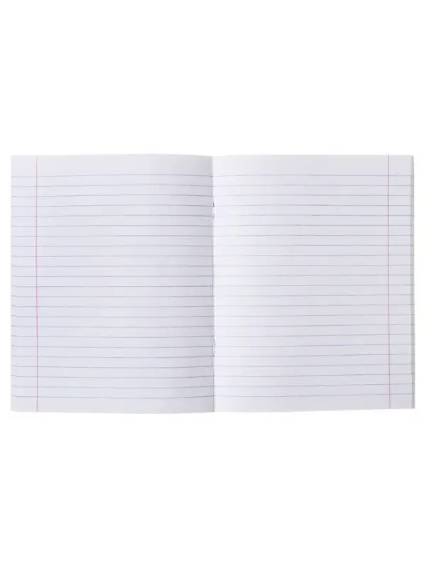 Тетрадь предметная 48 листов в линейку Calligrata &laquo;Журнал. Литература&raquo;, картонная обложка