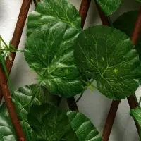 Ограждение декоративное &laquo;Лист ольхи&raquo;, 120&times;40 см, Greengo