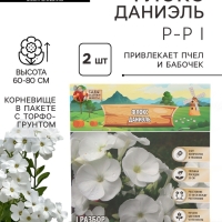 Флокс «Даниэль» корневище в пакете с торфогрунтом, р-р I, 2 шт.