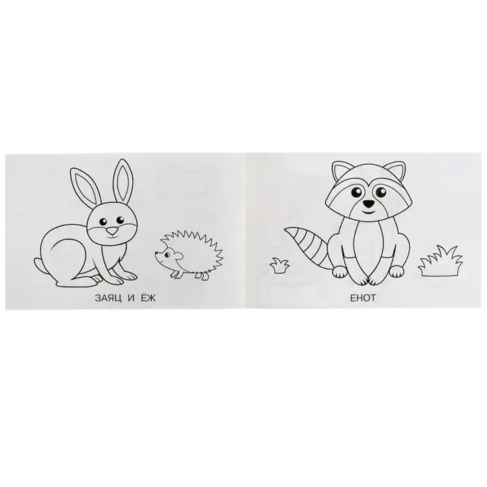 Раскраска «Лесные животные», 8 страниц Раскраска «Лесные животные», 8 страниц