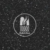Сковорода Мечта &laquo;Гранит Black&raquo; Induction Pro, d=26 см, h=6 см, съёмная ручка, антипригарное покрытие, индукция, литой алюминий, чёрный