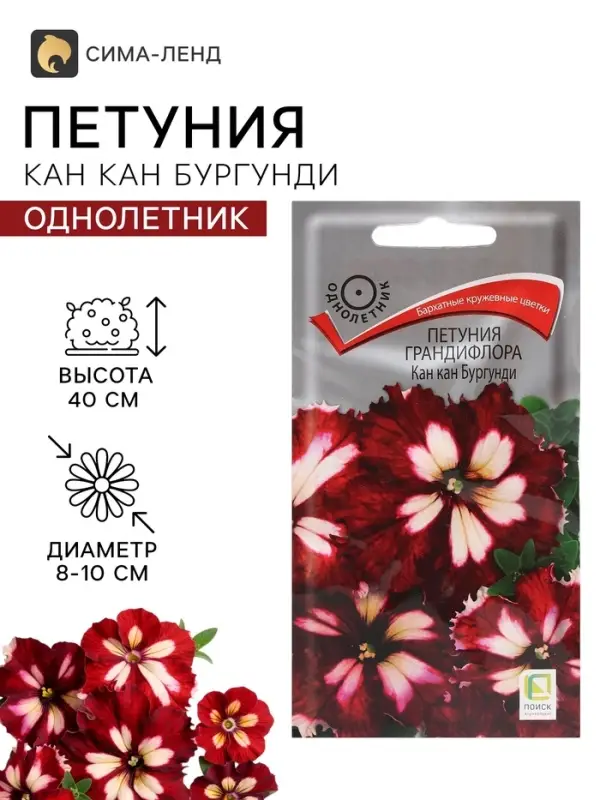 Семена цветов Петуния грандифлора &laquo;Кан кан бургунди&raquo; 10 шт.