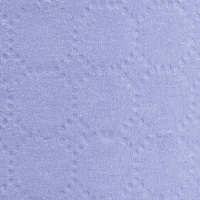 Бумага протирочная Luscan Prof 2сл 500лx1рул/уп 130м голубая