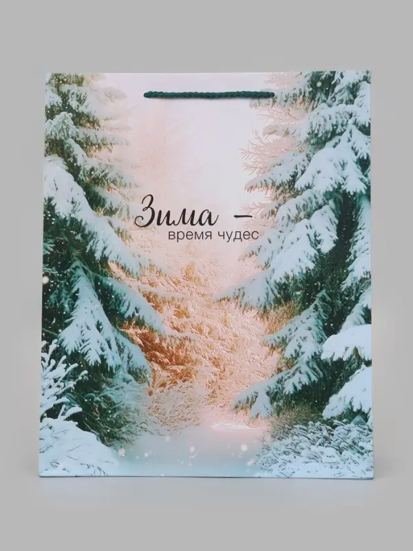 Пакет подарочный &laquo;Зима - время чудес&raquo;, 26&times;12&times;32 см