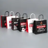 Набор пакетов подарочных новогодних &laquo;Пусть мечты сбудутся&raquo;, 6 шт., 22&times;22&times;11 см