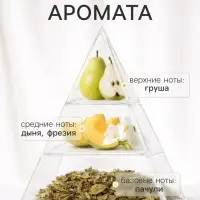 Наполнитель для ароматического диффузора XO The Delight, 100 мл