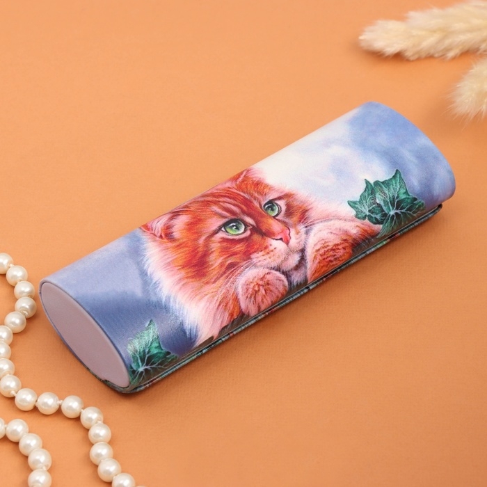 Очечник Очечник "Рыжик", 17х7 см