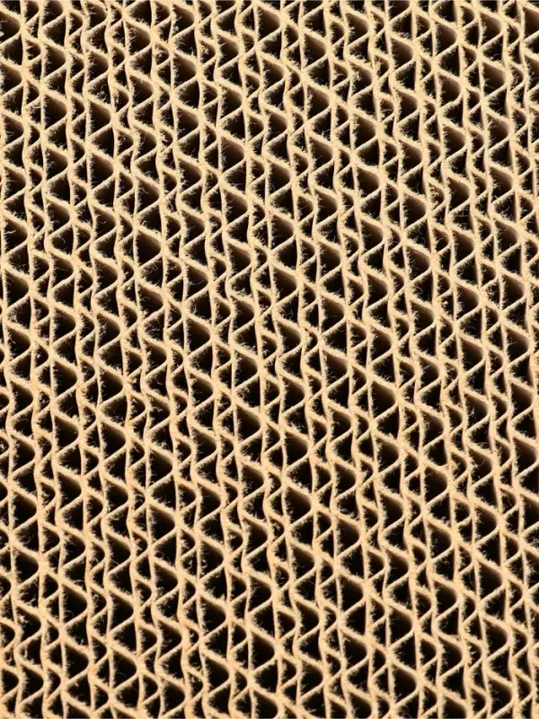 Когтеточка - лежанка &laquo;Радость&raquo;, 51&times;28&times;29 см, с кошачьей мятой, гофрокартон