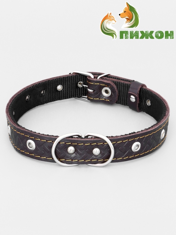 Ошейник кожаный усиленный капроном с полукольцом, 55 х 2,5 см, ОШ 27-53 см, коричневый Ошейник кожаный усиленный капроном с полукольцом, 55 х 2,5 см, ОШ 27-53 см, коричневый